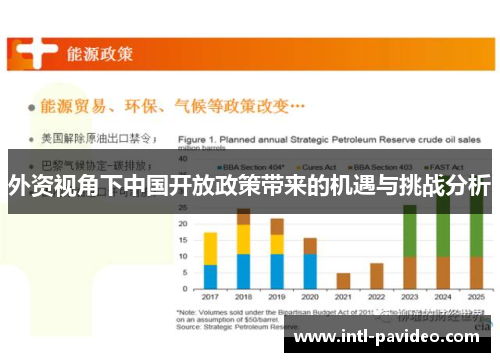 外资视角下中国开放政策带来的机遇与挑战分析