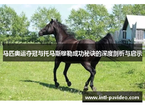 马匹奥运夺冠与托马斯穆勒成功秘诀的深度剖析与启示