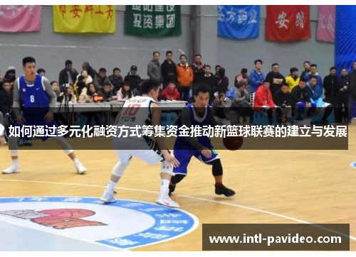 如何通过多元化融资方式筹集资金推动新篮球联赛的建立与发展