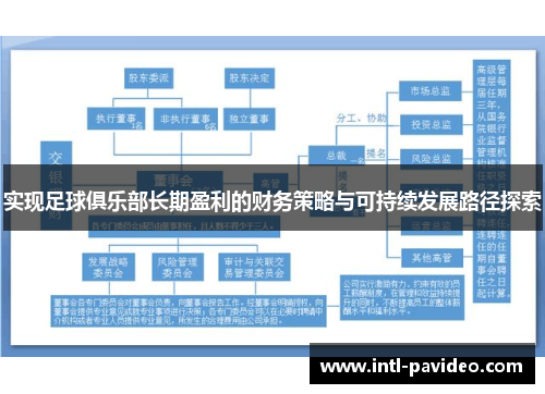 实现足球俱乐部长期盈利的财务策略与可持续发展路径探索